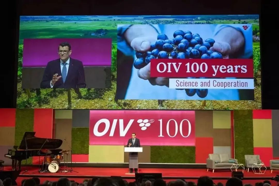 OIV总干事约翰·巴克：我很喜欢你们的可雅白兰地