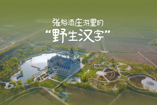 “野生汉字”在张裕酒庄游里有多少种打开方式？