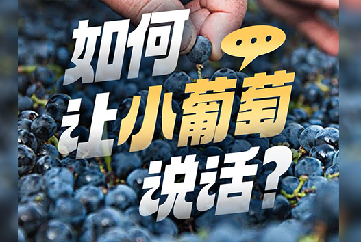 TA为何在欧洲引起了轰动？