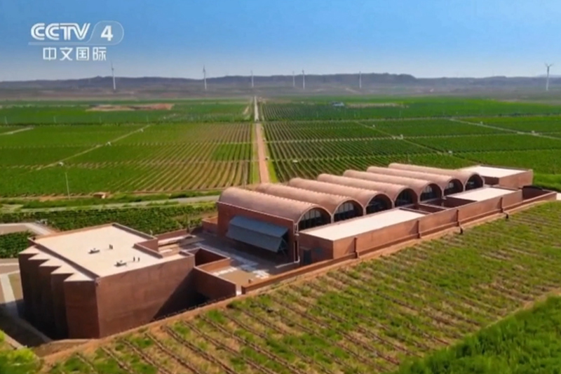 央视直击：外籍免签探路官竟然这样评价中国酒庄？