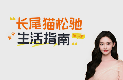 林允的松弛生活小秘诀