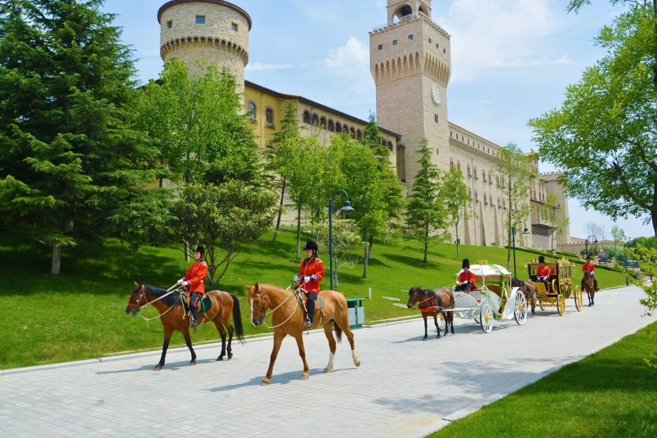 大金奖！Ta甜出圈了